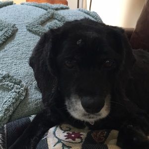 Meet your Posher, Leslie